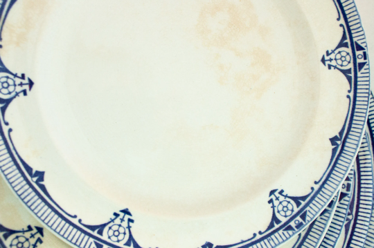 Burgess & Leigh Burleigh Ware Blue and White Plates (5)