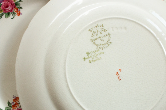 Putney & Co. Bristol 10" Dinner Plates Plates with Floral Detail (4)