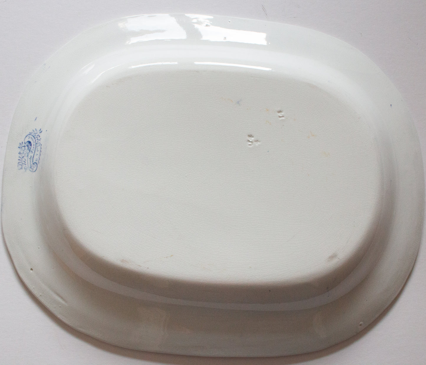 Antique Bovey Tracey 'Asiatic Pheasants' Blue and White Transferware Meat Platter