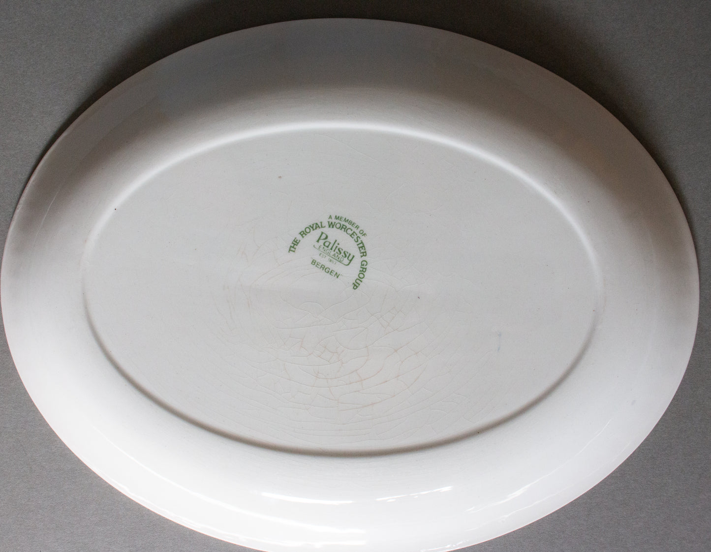 Royal Worcester Group Palissy England 'Bergen' Pattern Mid Century 12" Serving Platter