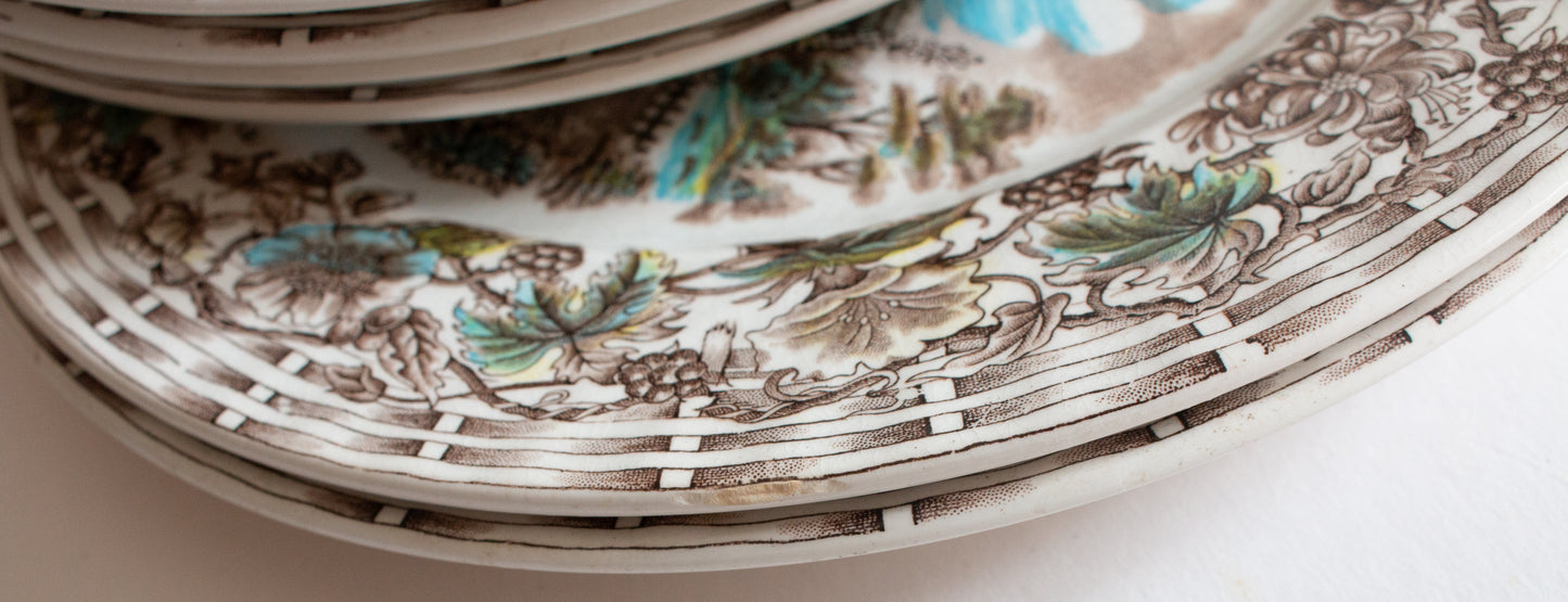 Barratts Staffordshire 'Cottage Garden' Brown Transferware 10" Dinner Plates (6)