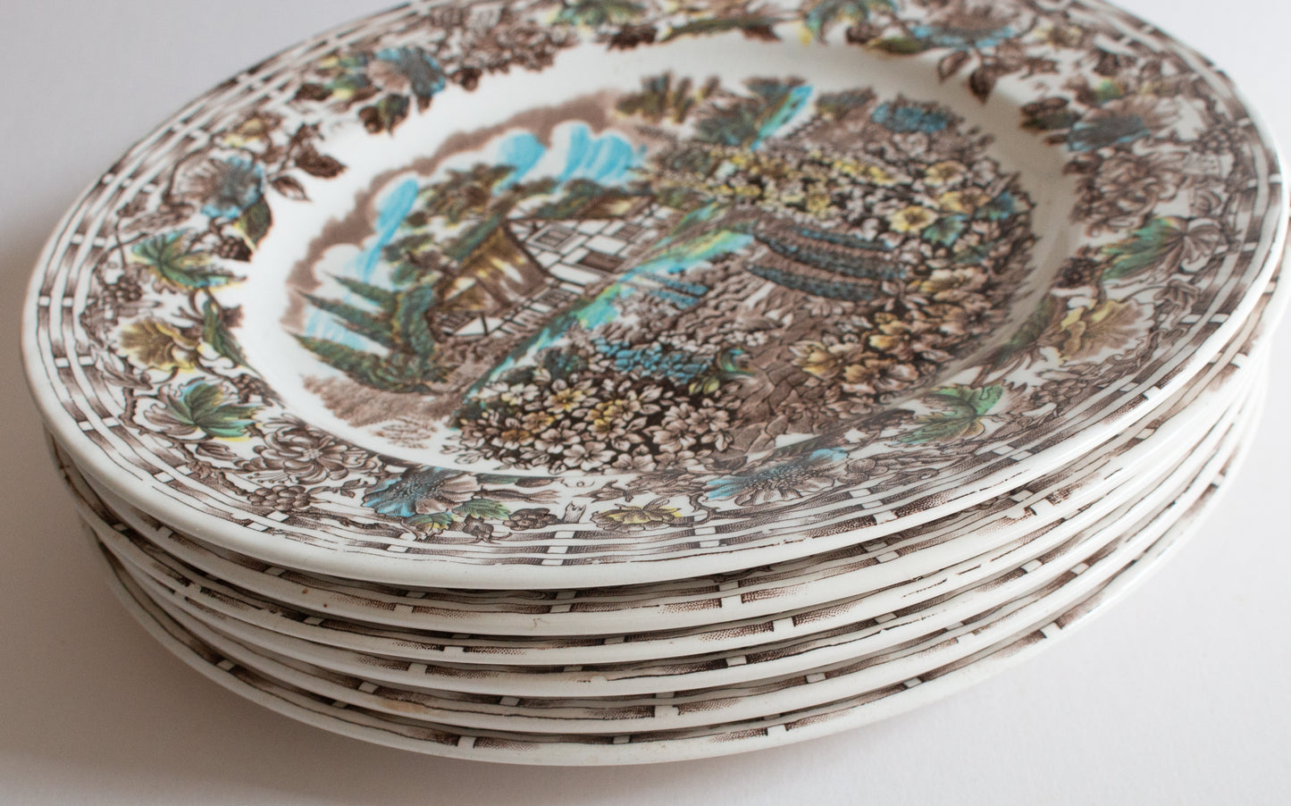 Barratts Staffordshire 'Cottage Garden' Brown Transferware 10" Dinner Plates (6)