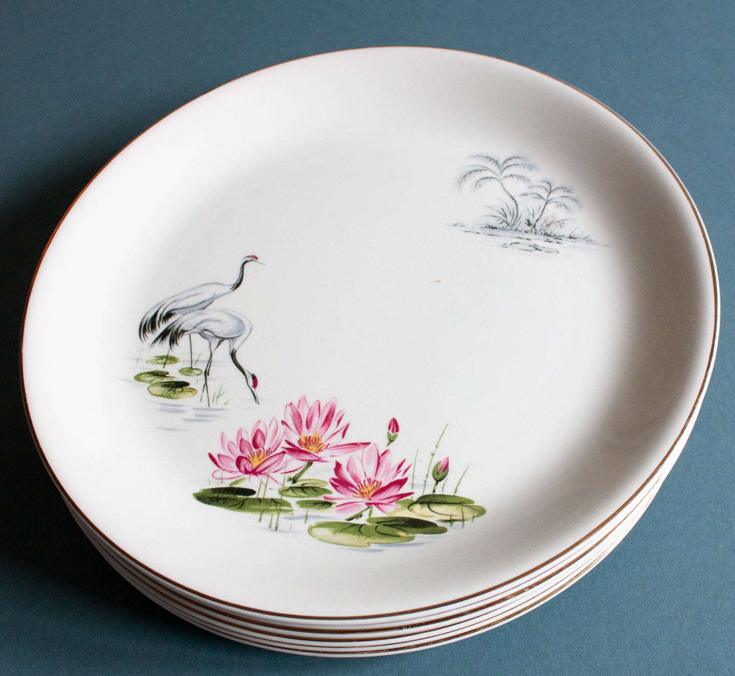 Alfred Meakin 'Lotus Island' Pattern Vintage 9" Plates (6)
