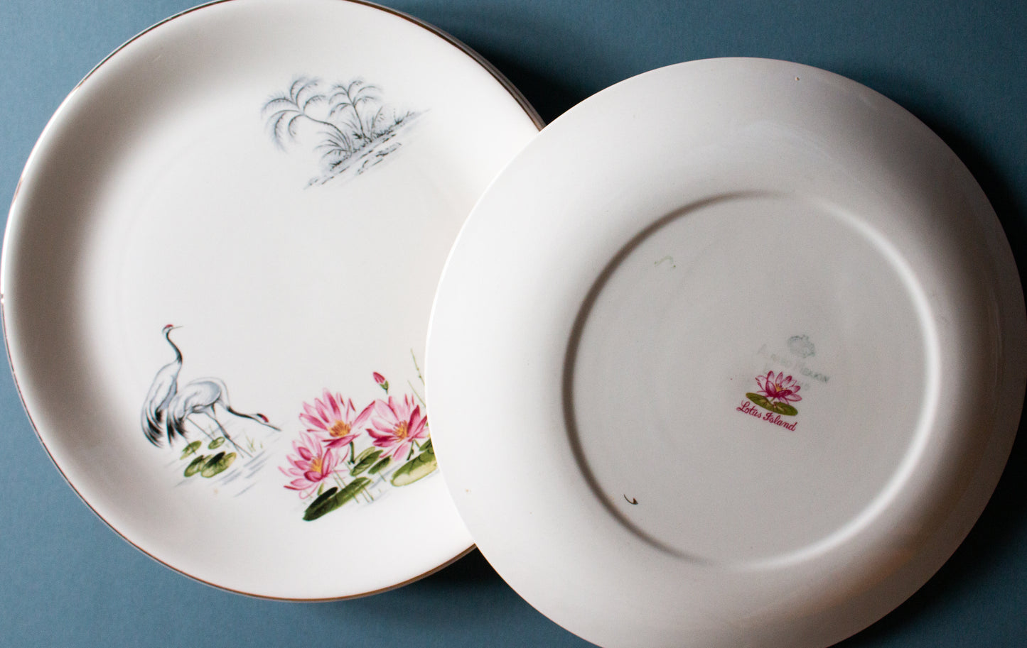 Alfred Meakin 'Lotus Island' Pattern Vintage 9" Plates (6)