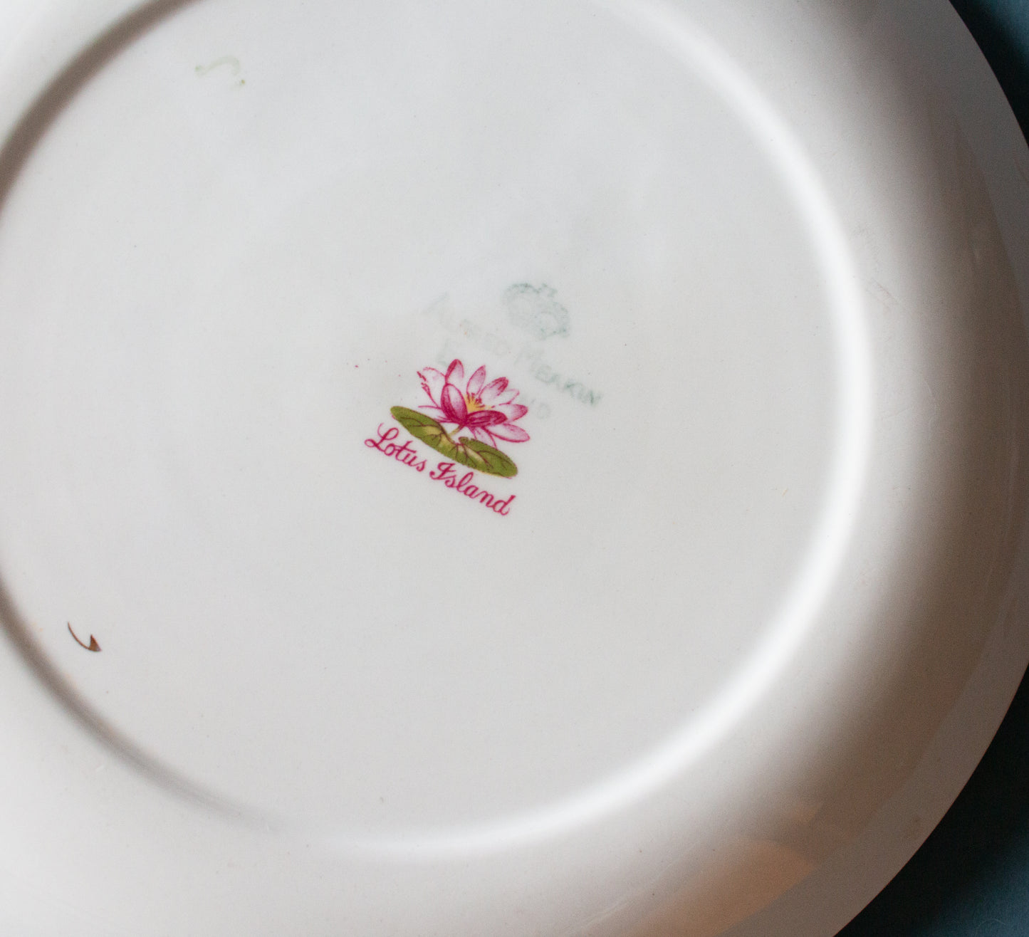 Alfred Meakin 'Lotus Island' Pattern Vintage 9" Plates (6)