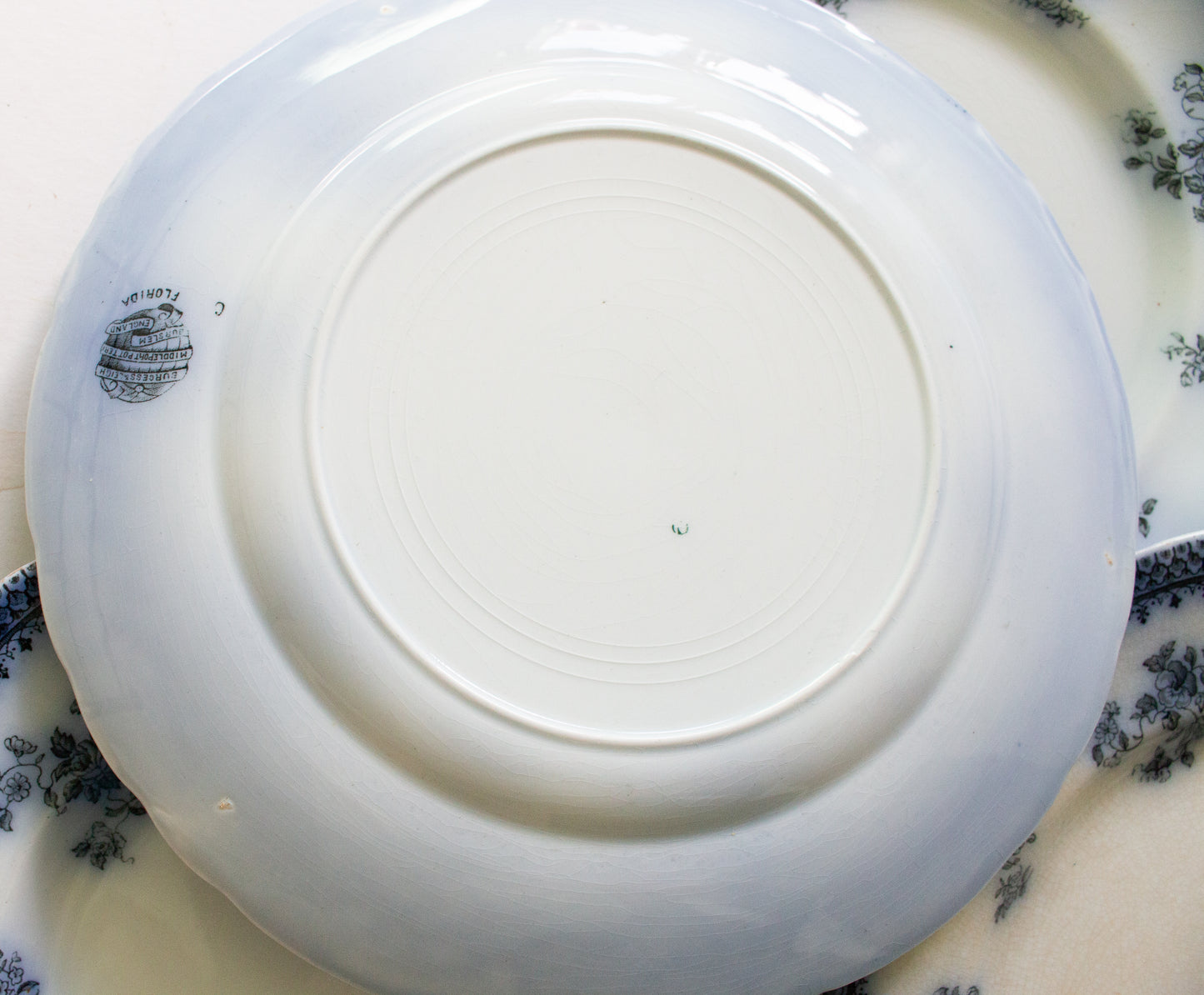 Burgess & Leigh Middleport Pottery Burslem England 'Florida' Pattern Flow Blue 10.5" Dinner Plates (4)