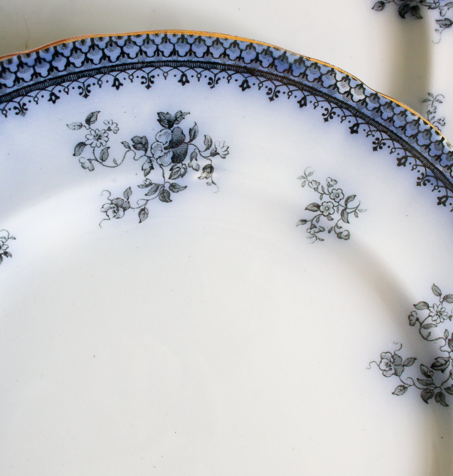 Burgess & Leigh Middleport Pottery Burslem England 'Florida' Pattern Flow Blue 10.5" Dinner Plates (4)