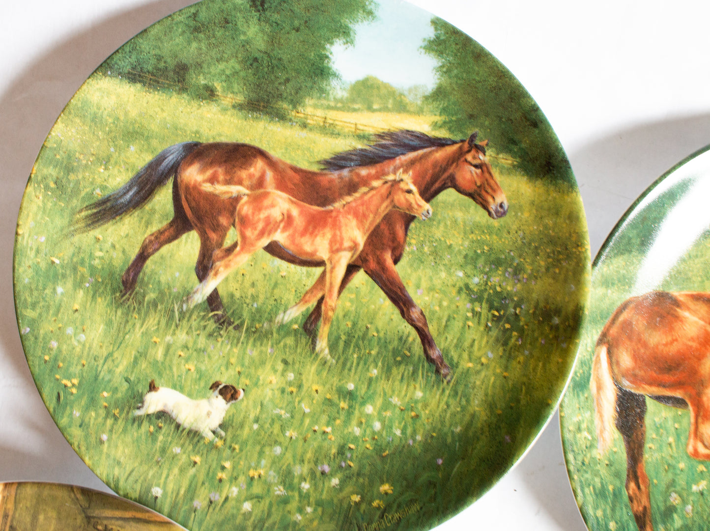 Royal Worcester Donna Crawshaw's 'Tomorrow's Champion' Series Collector's Plates (4)
