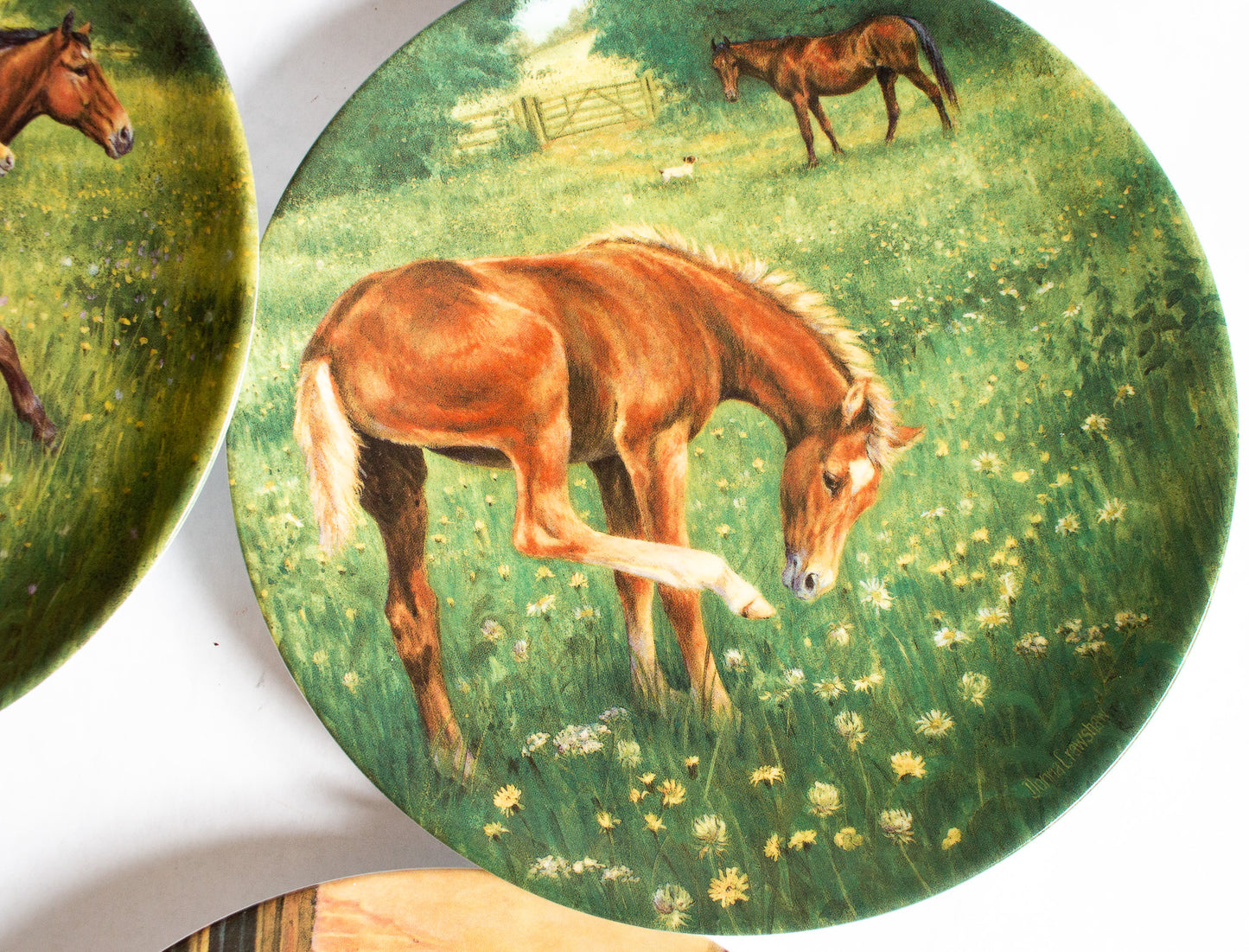 Royal Worcester Donna Crawshaw's 'Tomorrow's Champion' Series Collector's Plates (4)