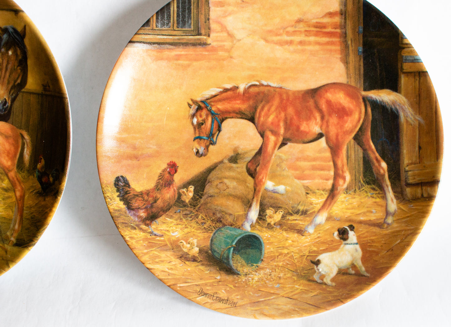 Royal Worcester Donna Crawshaw's 'Tomorrow's Champion' Series Collector's Plates (4)