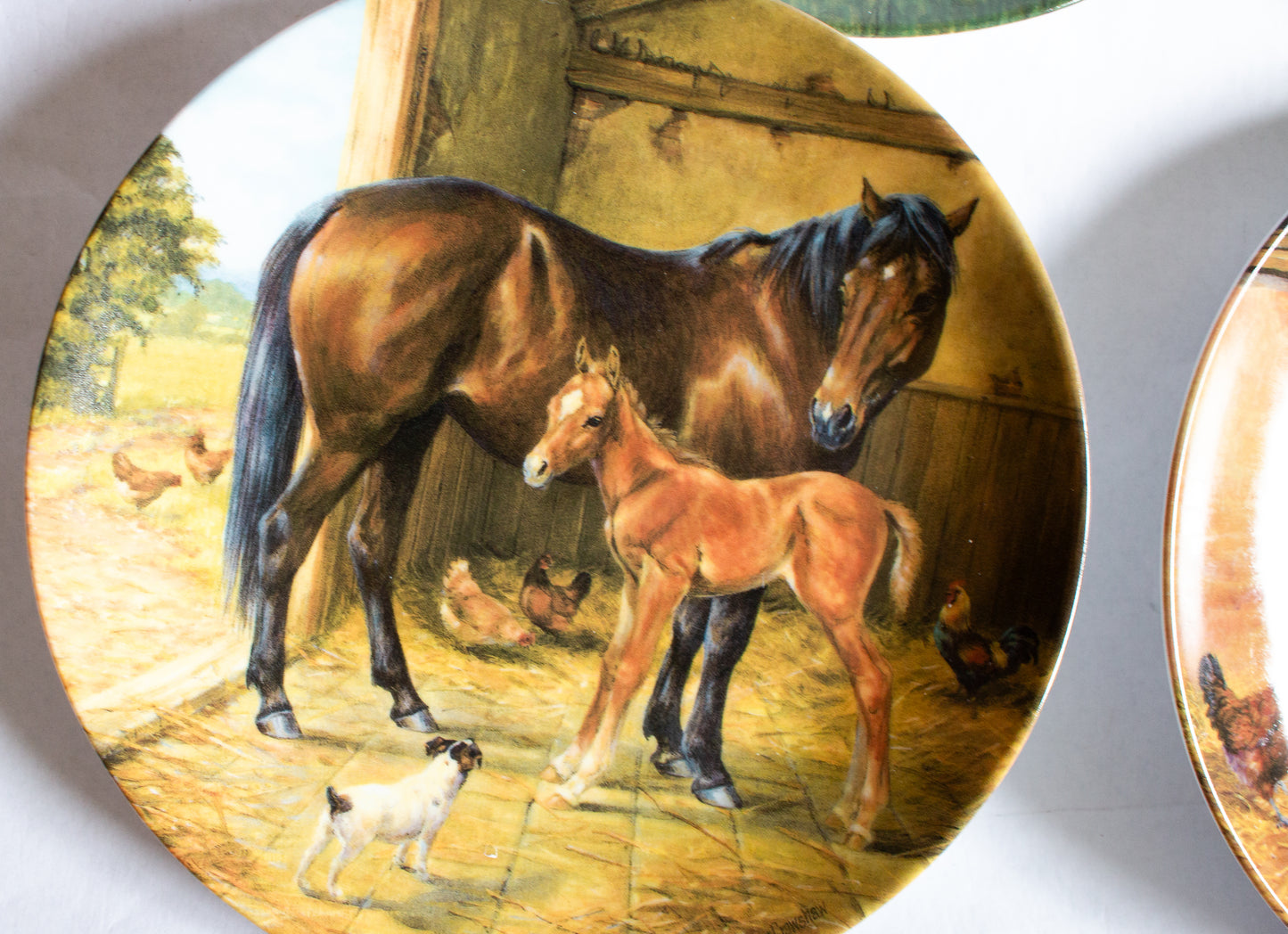 Royal Worcester Donna Crawshaw's 'Tomorrow's Champion' Series Collector's Plates (4)