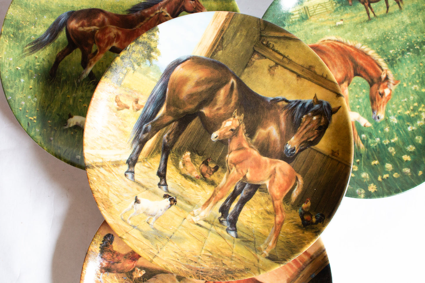 Royal Worcester Donna Crawshaw's 'Tomorrow's Champion' Series Collector's Plates (4)
