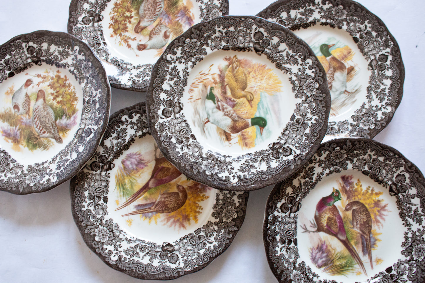 Royal Worcester Palissy 'Game Series' Brown Transferware 7" Side Plates (6)