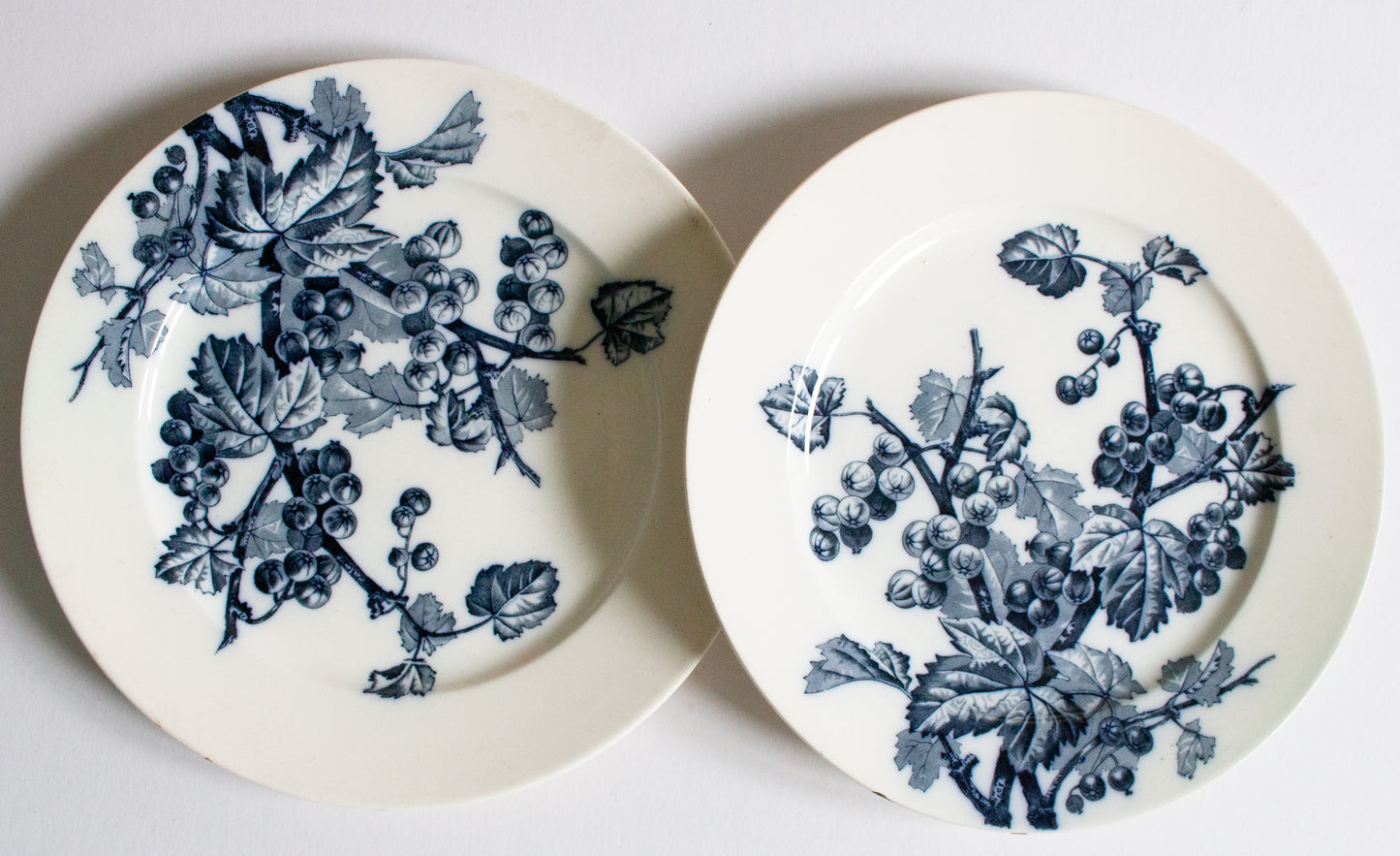 Antique Brown, Westhead, Moore & Co. Blue and White Transferware 9.25" Plates (2)