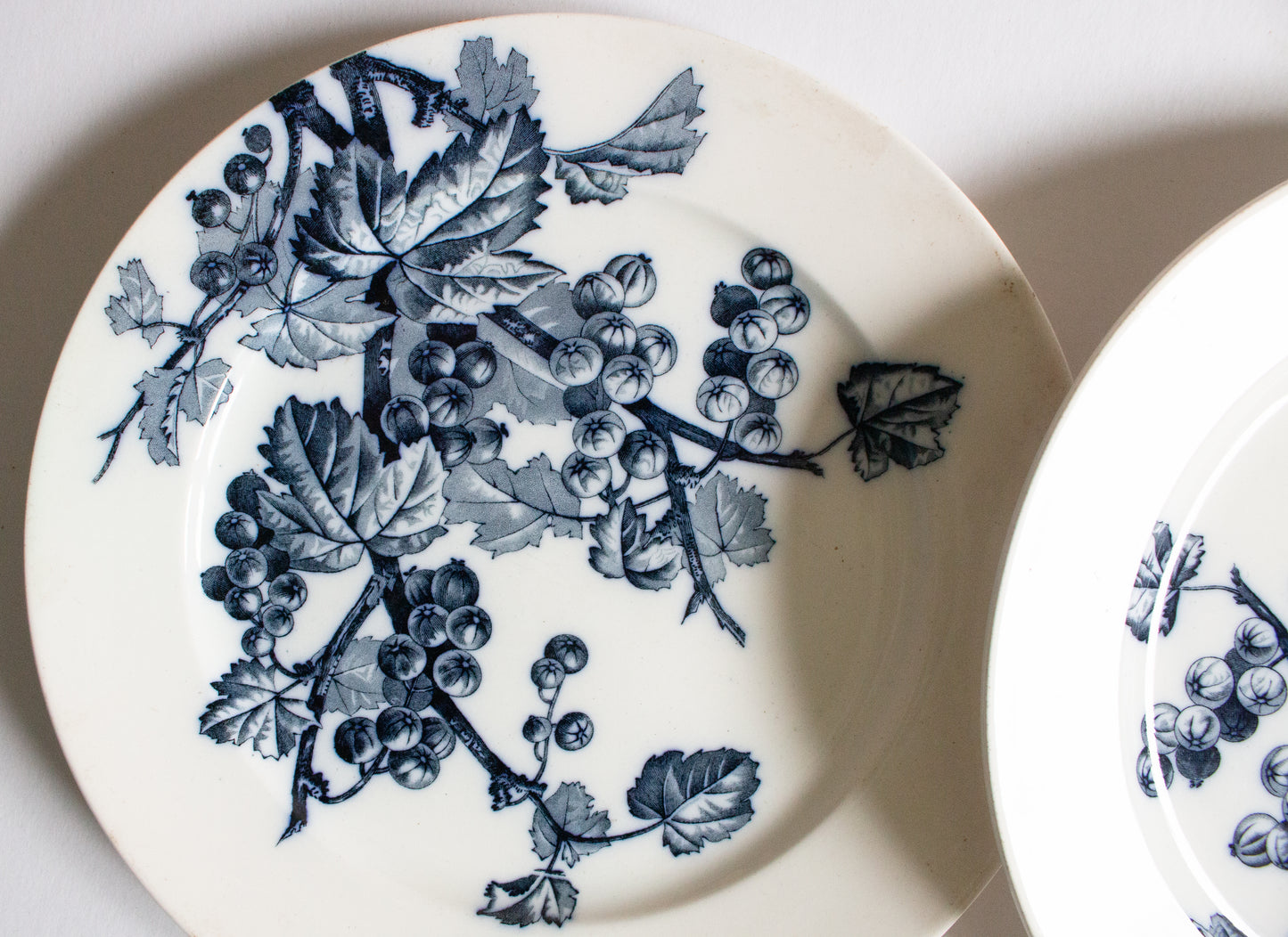 Antique Brown, Westhead, Moore & Co. Blue and White Transferware 9.25" Plates (2)