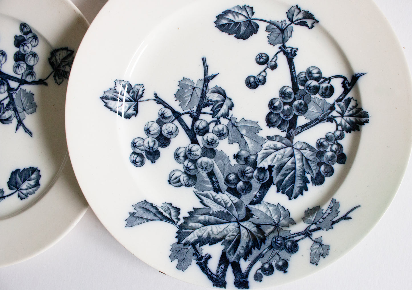 Antique Brown, Westhead, Moore & Co. Blue and White Transferware 9.25" Plates (2)