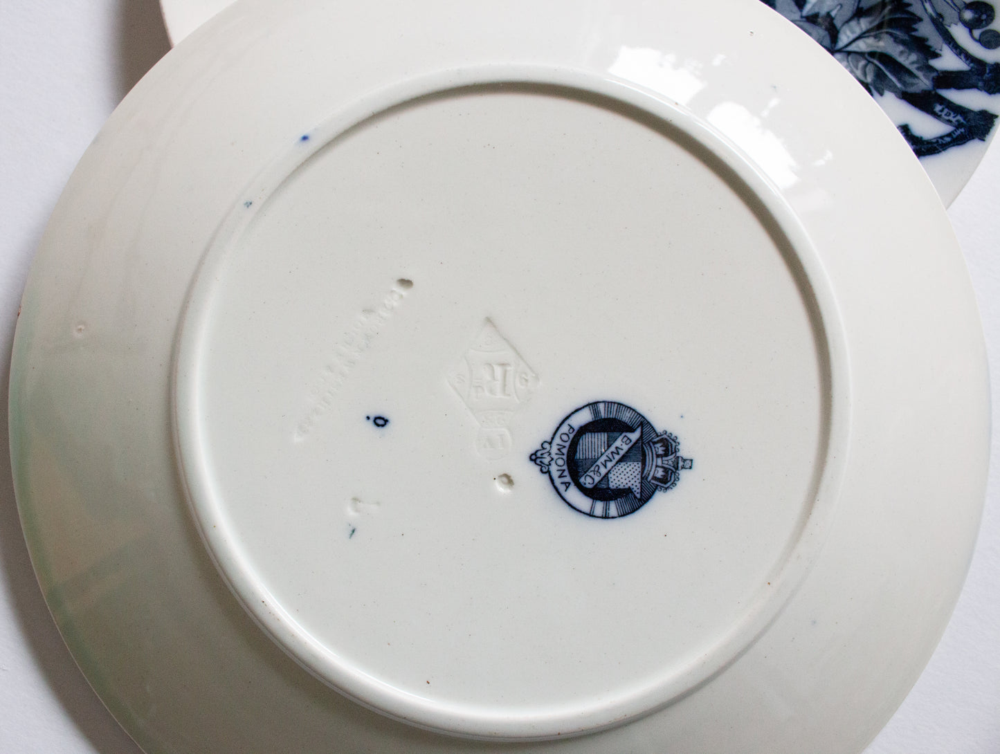 Antique Brown, Westhead, Moore & Co. Blue and White Transferware 9.25" Plates (2)