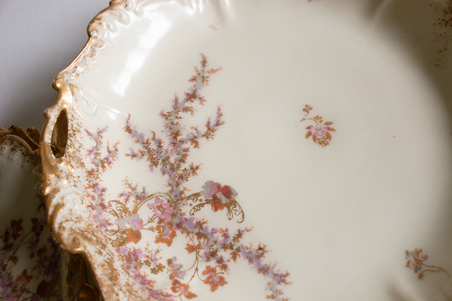 Limoges Floral and Gilt Dessert Set