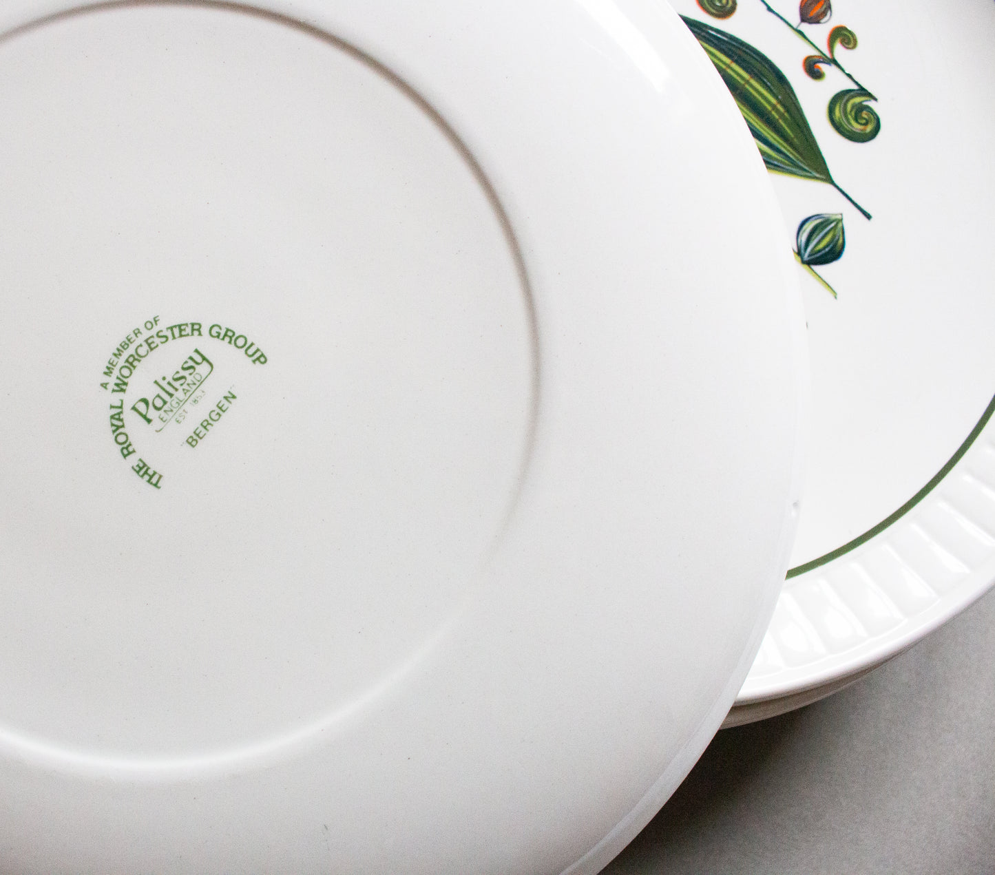 Royal Worcester Group Palissy England 'Bergen' Pattern Mid Century 10" Dinner Plates (6)