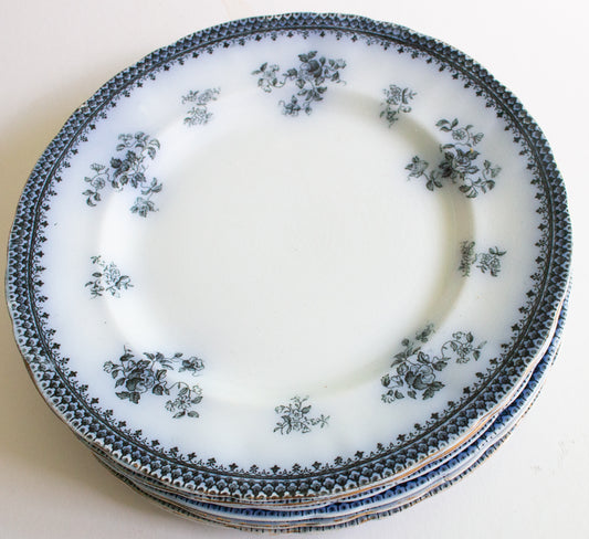 Burgess & Leigh Middleport Pottery Burslem England 'Florida' Pattern Flow Blue 9.75" Dinner Plates (4)