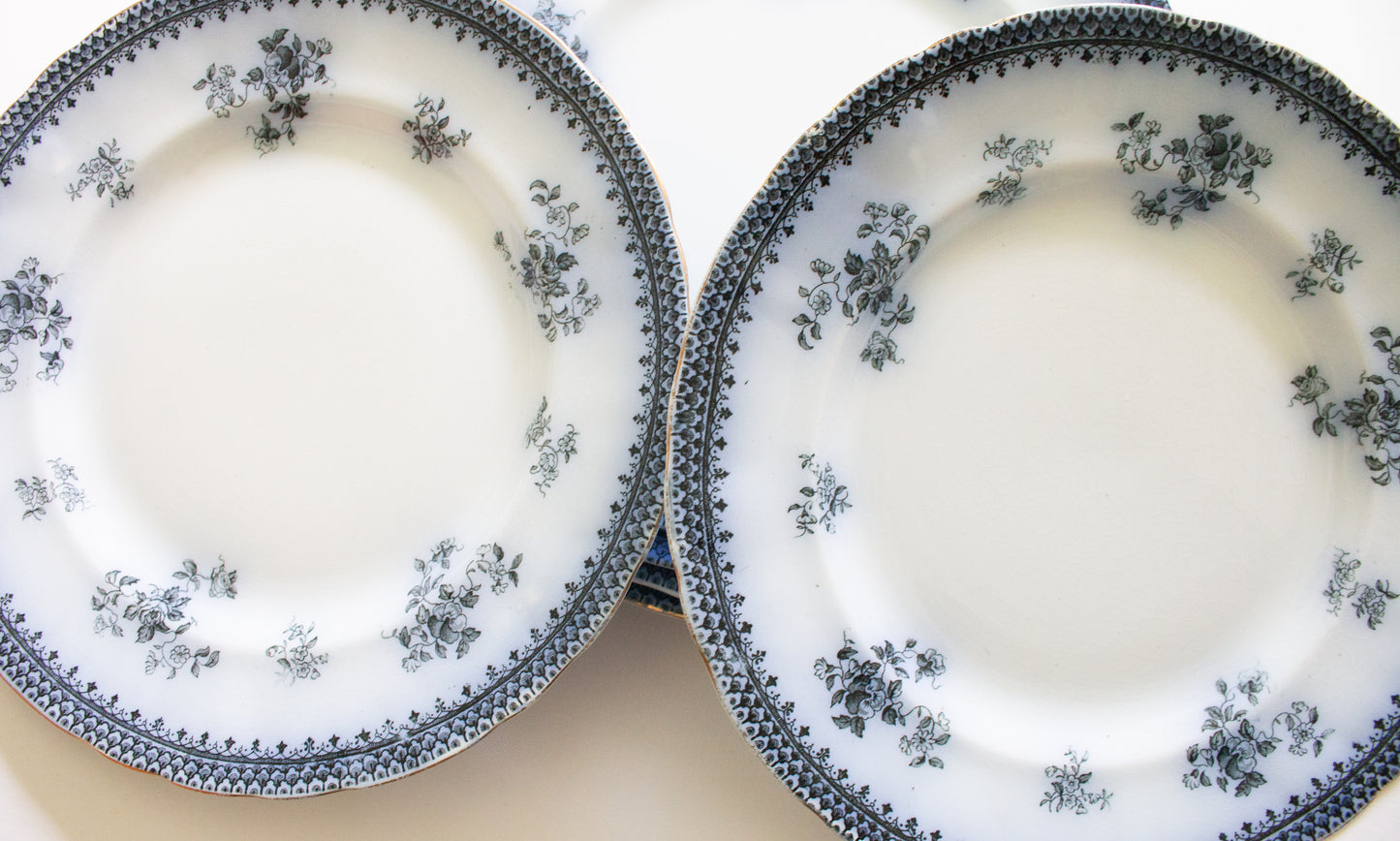 Burgess & Leigh Middleport Pottery Burslem England 'Florida' Pattern Flow Blue 9.75" Dinner Plates (4)