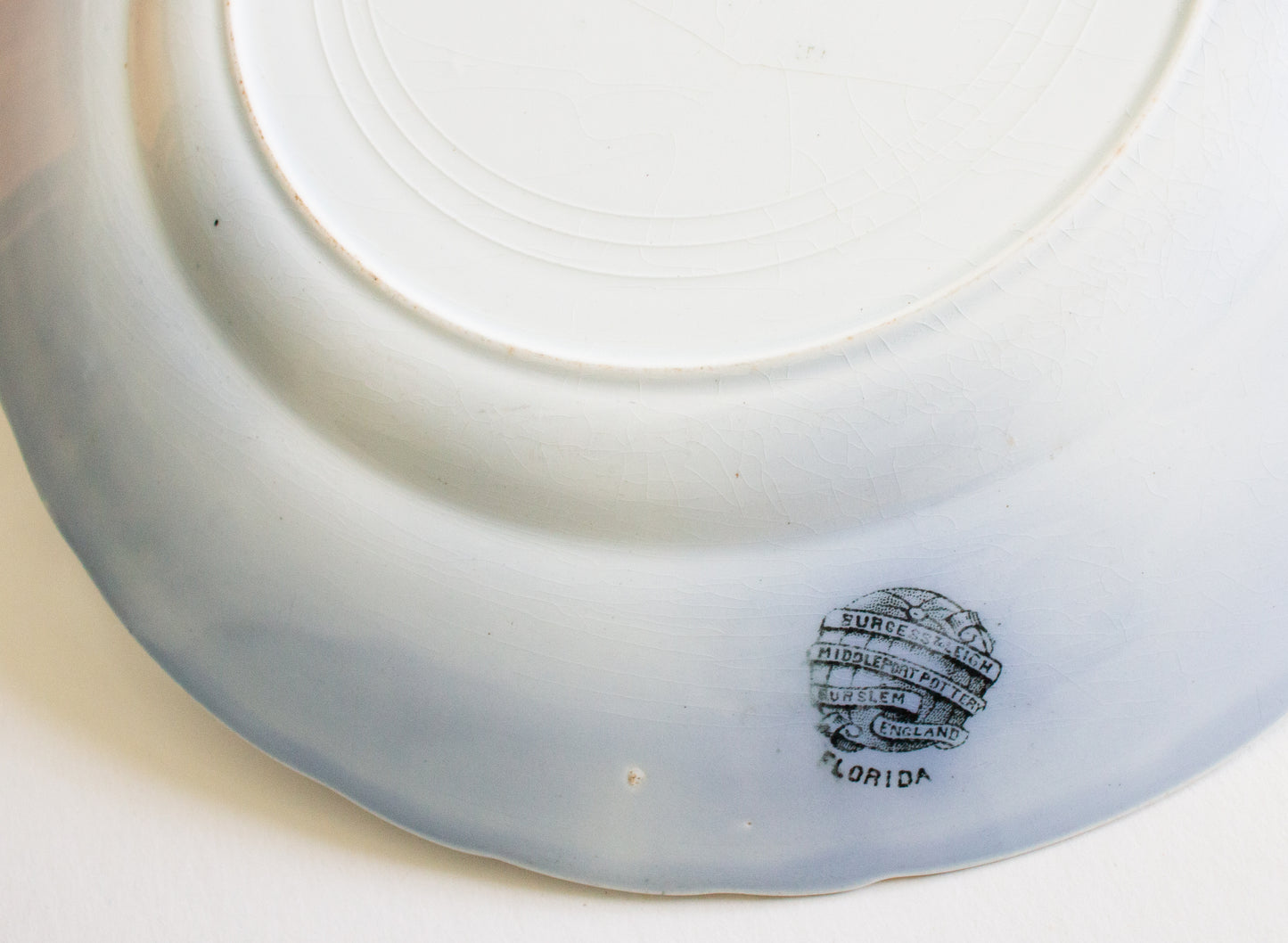 Burgess & Leigh Middleport Pottery Burslem England 'Florida' Pattern Flow Blue 9.75" Dinner Plates (4)