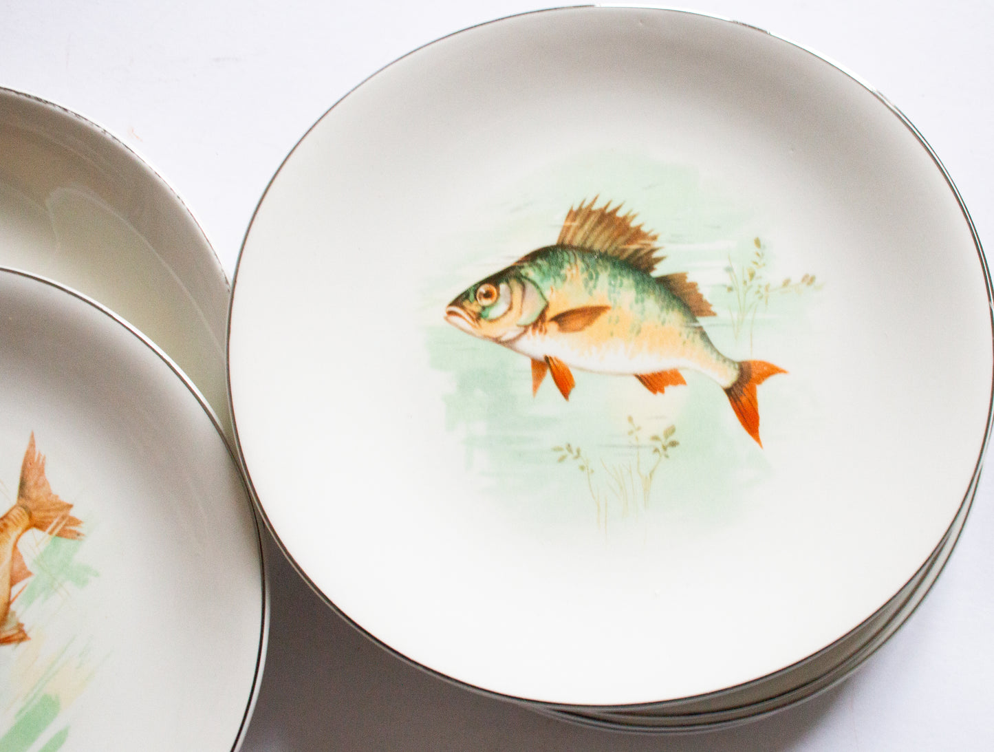 Wedgwood & Co. Ltd. England  Plates for Six and Serving Plate with Central Fish Motifs
