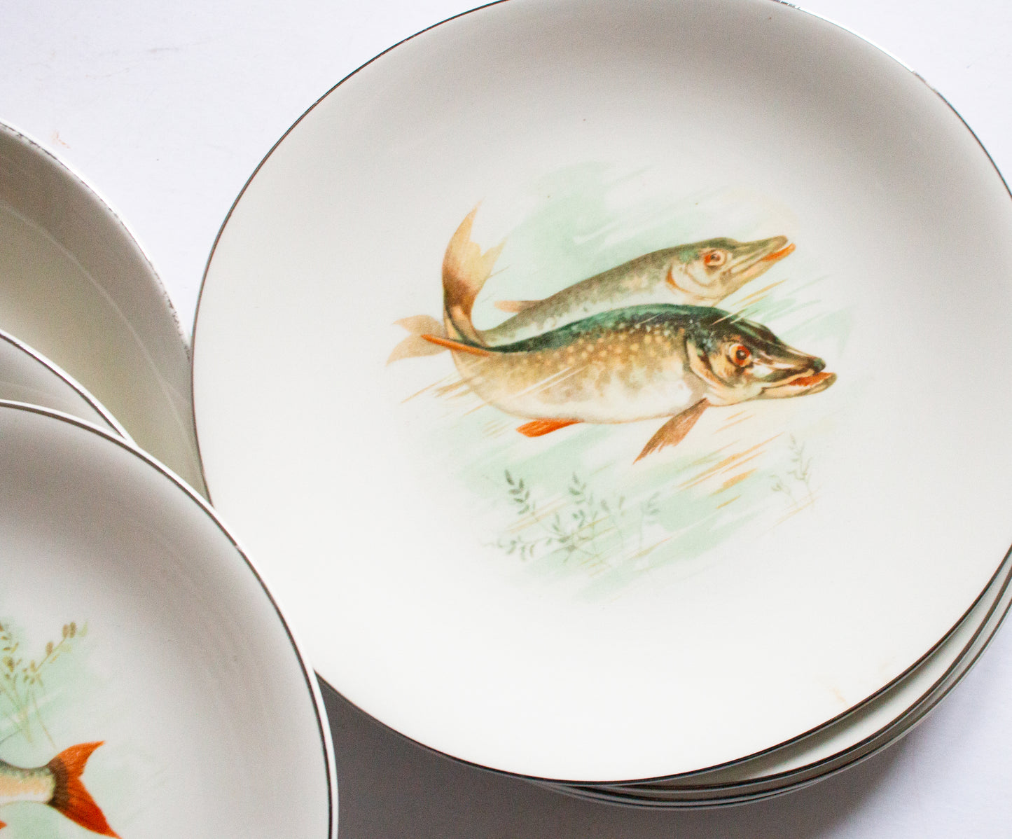Wedgwood & Co. Ltd. England  Plates for Six and Serving Plate with Central Fish Motifs