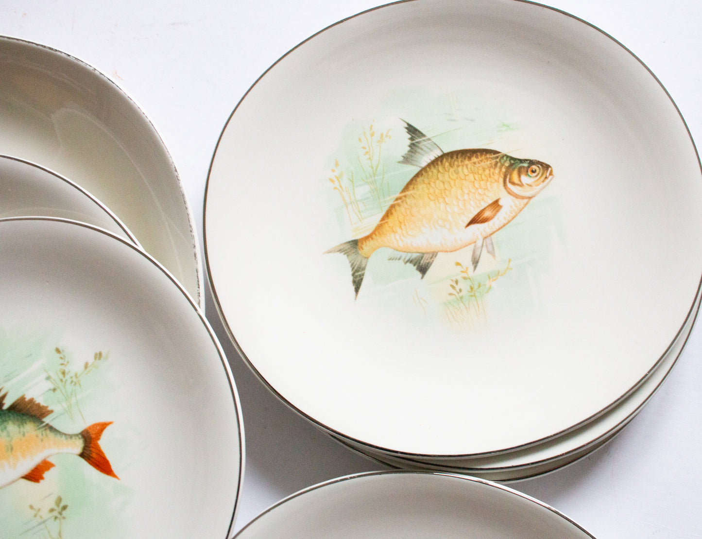 Wedgwood & Co. Ltd. England  Plates for Six and Serving Plate with Central Fish Motifs