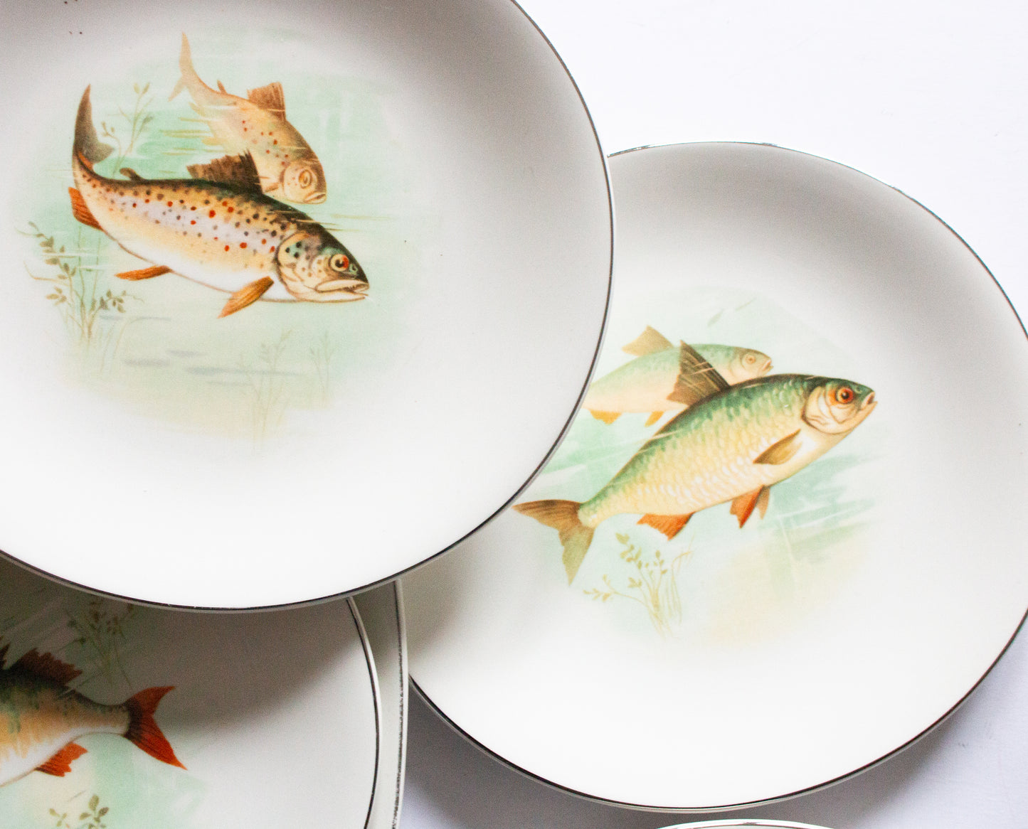 Wedgwood & Co. Ltd. England  Plates for Six and Serving Plate with Central Fish Motifs