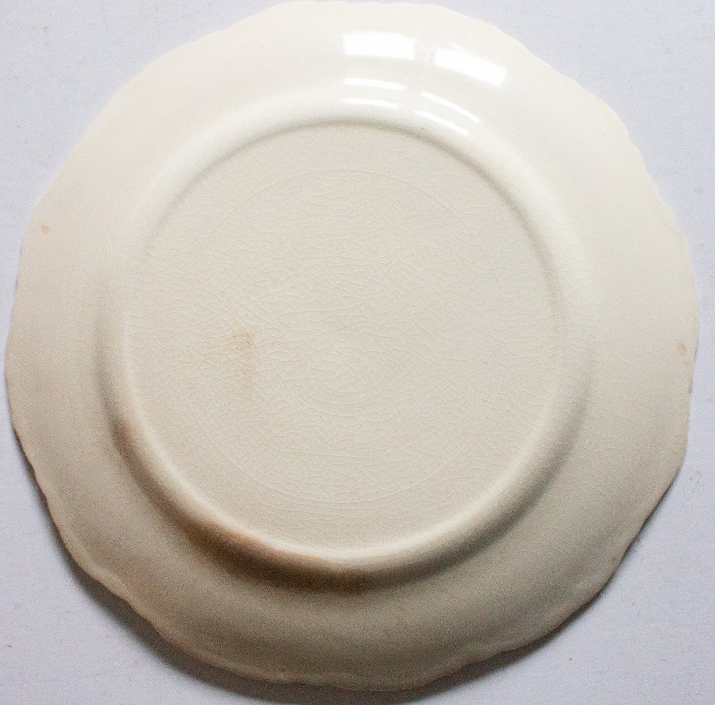 Antique Blue and White Transferware 10.5" Floral Plate