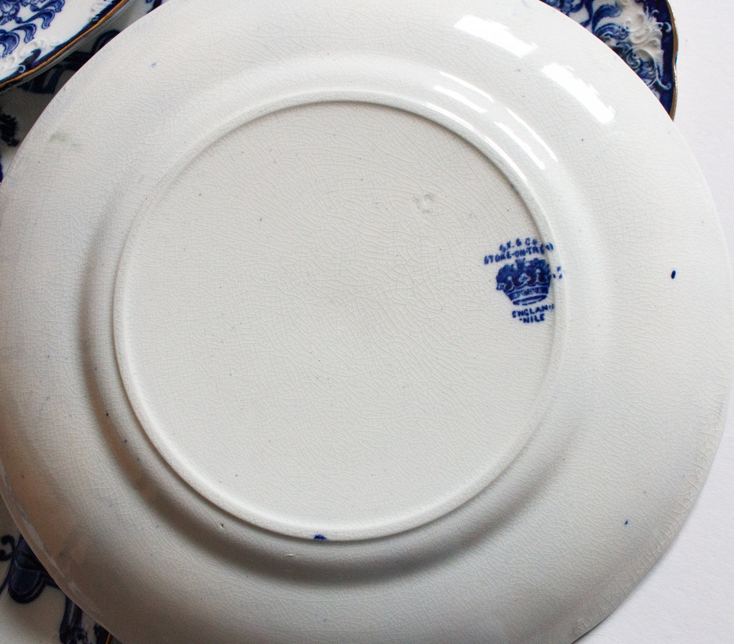 S. F. & Co. 'Nile' Pattern Flow China  10.25" Dinner Plates (4)