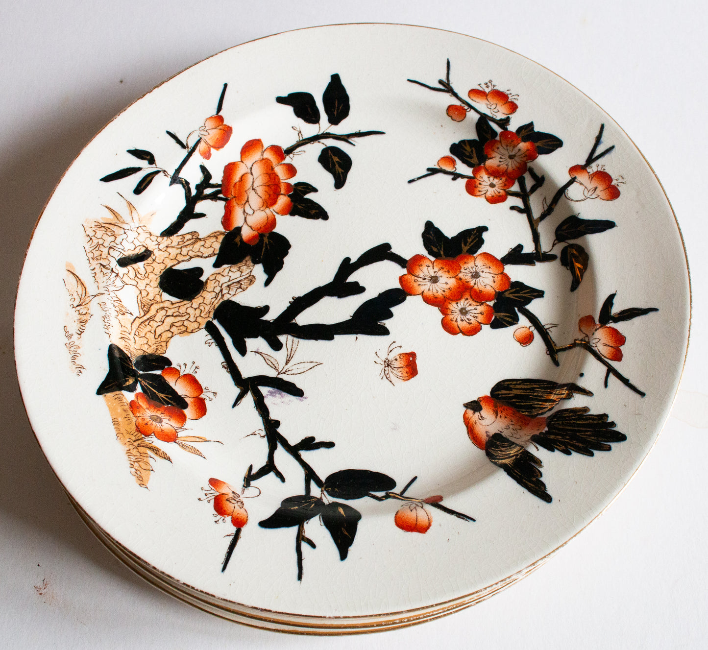 Antique Imari Pattern Black, Orange and Gold Dinner 9.75" Plates (6)