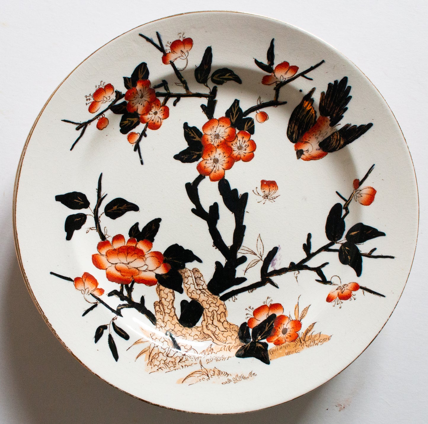 Antique Imari Pattern Black, Orange and Gold Dinner 9.75" Plates (6)