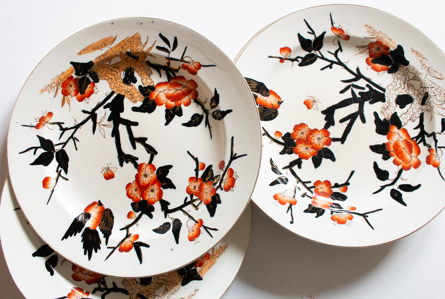 Antique Imari Pattern Black, Orange and Gold Dinner 9.75" Plates (6)