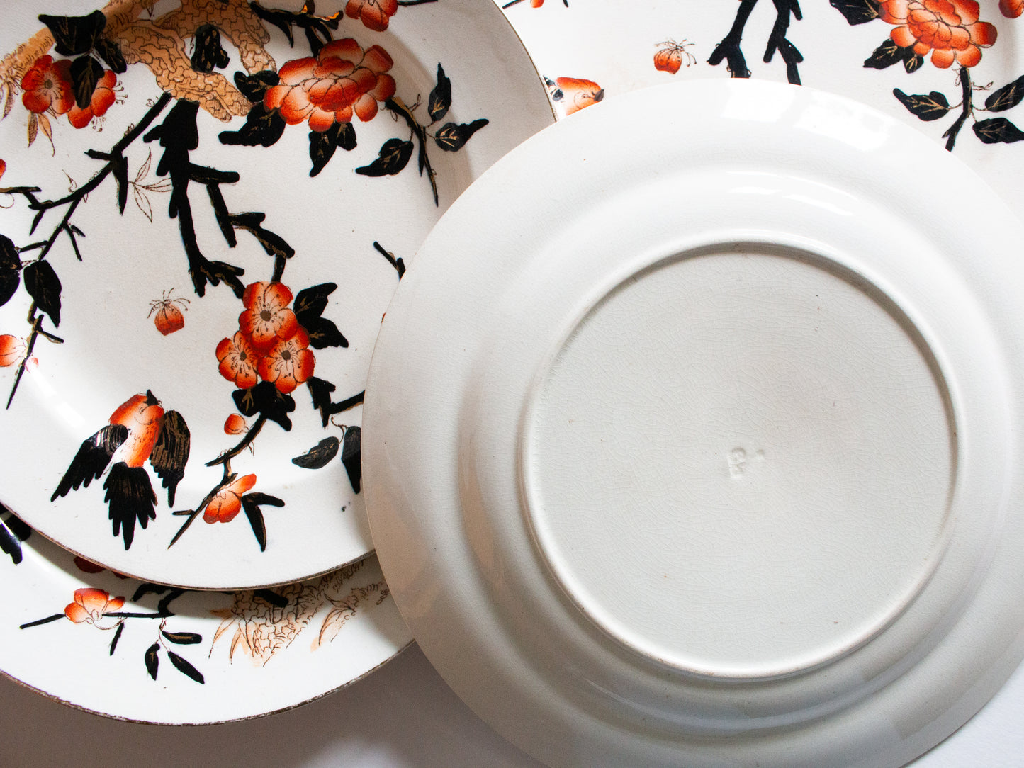 Antique Imari Pattern Black, Orange and Gold Dinner 9.75" Plates (6)