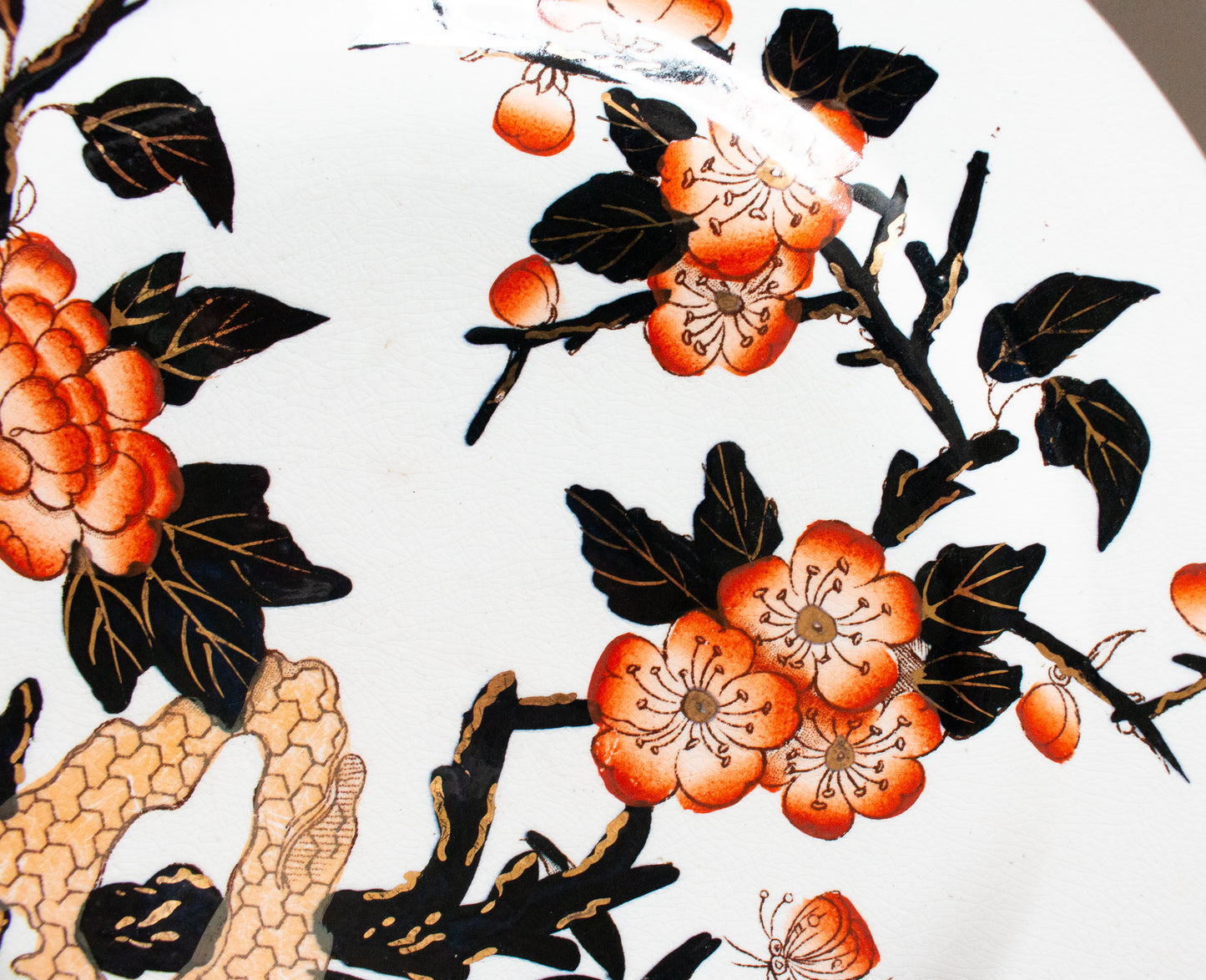 Antique Imari Pattern Black, Orange and Gold Dinner 10.75" Dinner Plates (4)