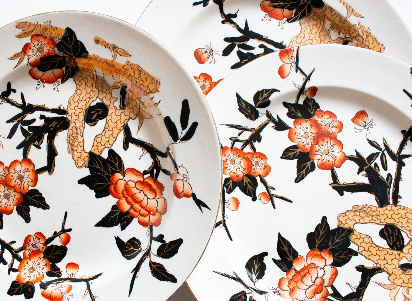 Antique Imari Pattern Black, Orange and Gold Dinner 10.75" Dinner Plates (4)