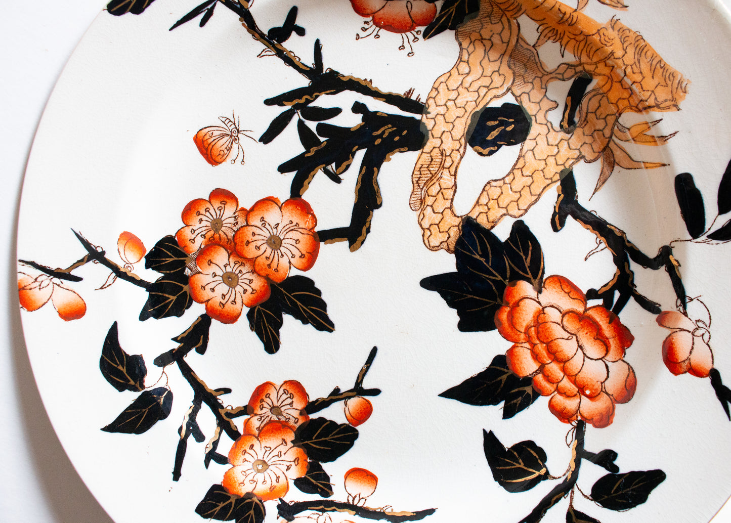 Antique Imari Pattern Black, Orange and Gold Dinner 10.75" Dinner Plates (4)