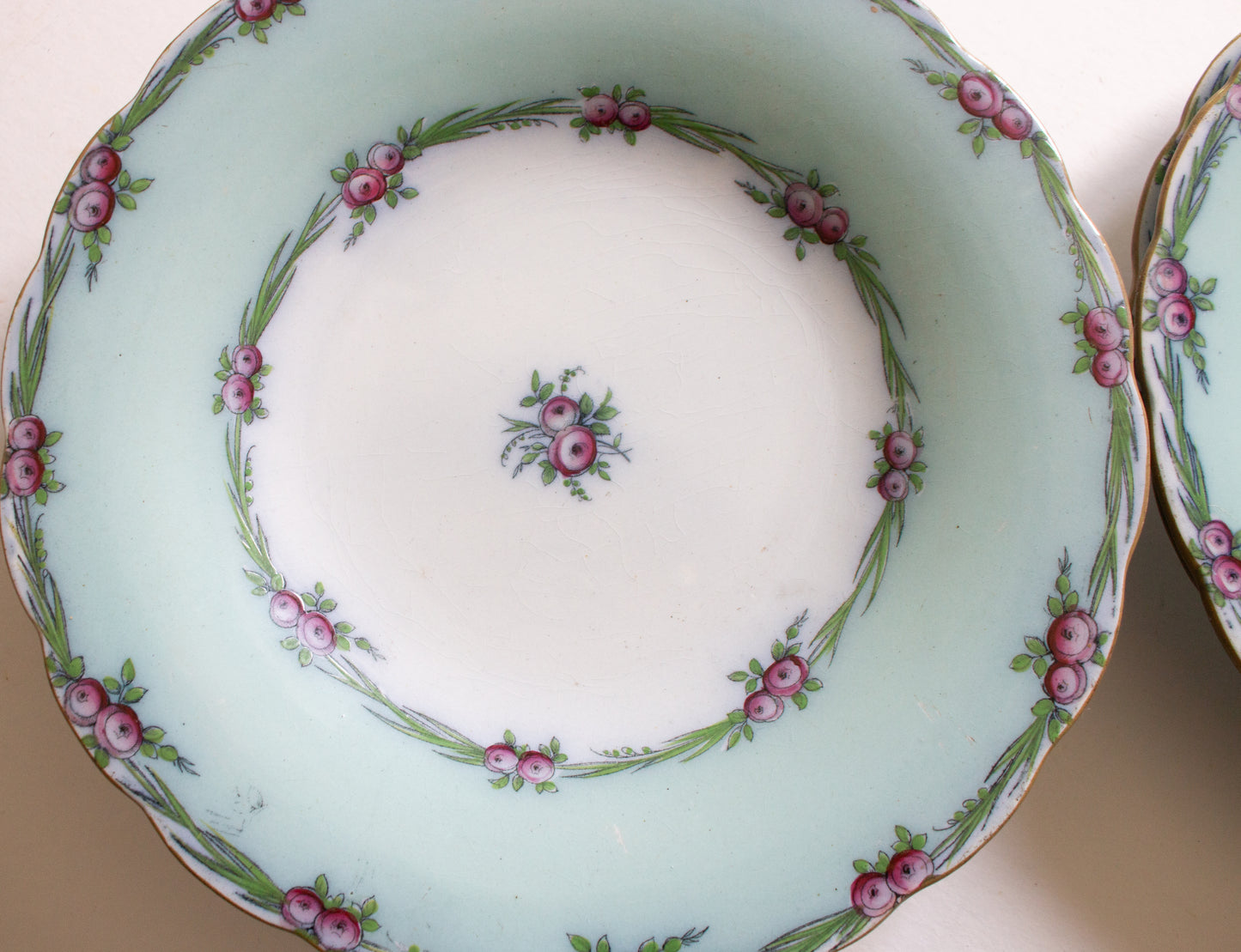 Antique Charles Meigh & Son 'Improved Feldspar' Floral Blue 9" Plates (6)