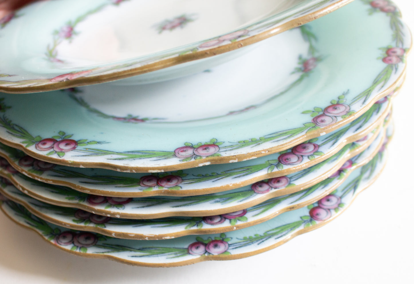 Antique Charles Meigh & Son 'Improved Feldspar' Floral Blue 9" Plates (6)