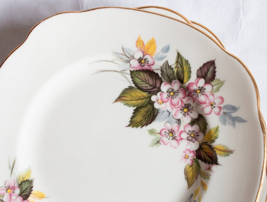Duchess Bone China Side Plates (6)